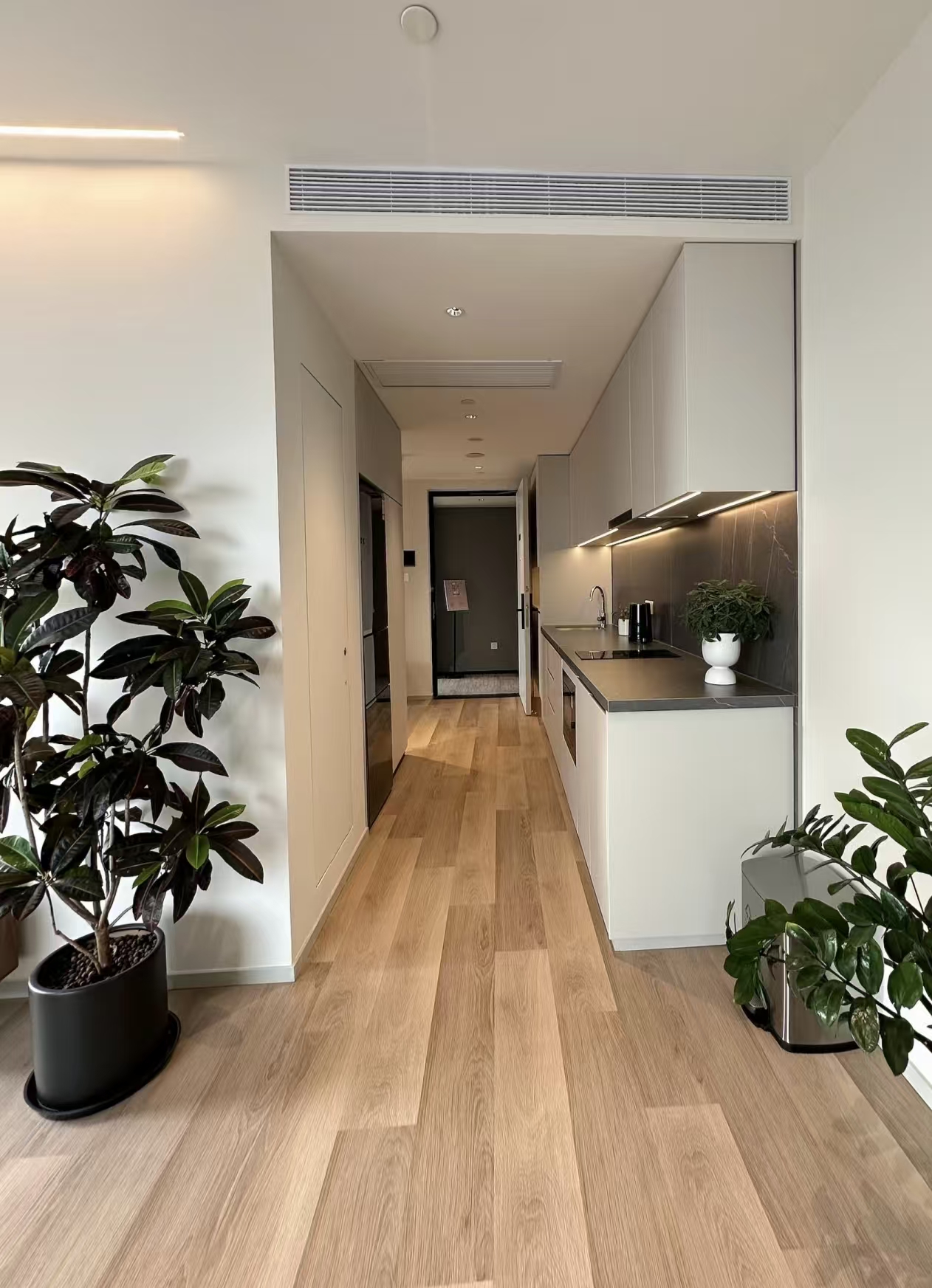 微信图片_20260411170034_457_2.jpg